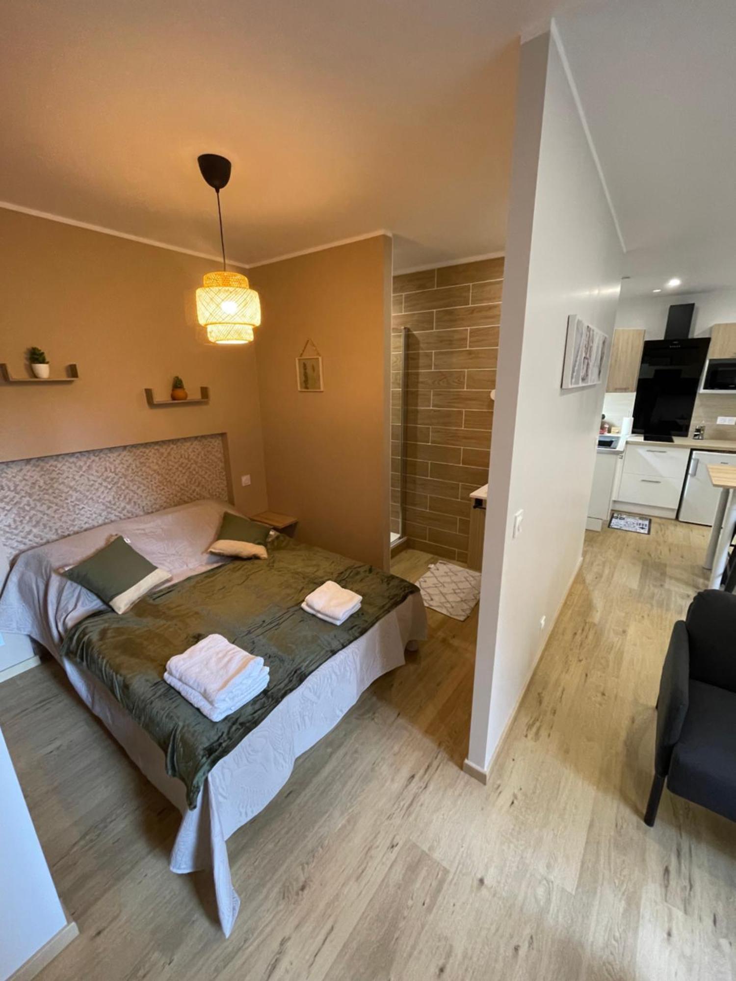 Au 35 Apartment Millau Luaran gambar